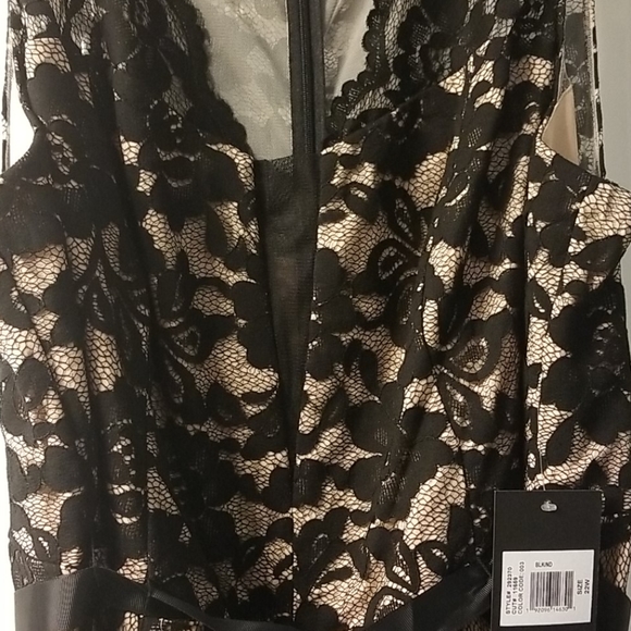 Elegant Black Lace Jumpsuit - Picture 3 of 3